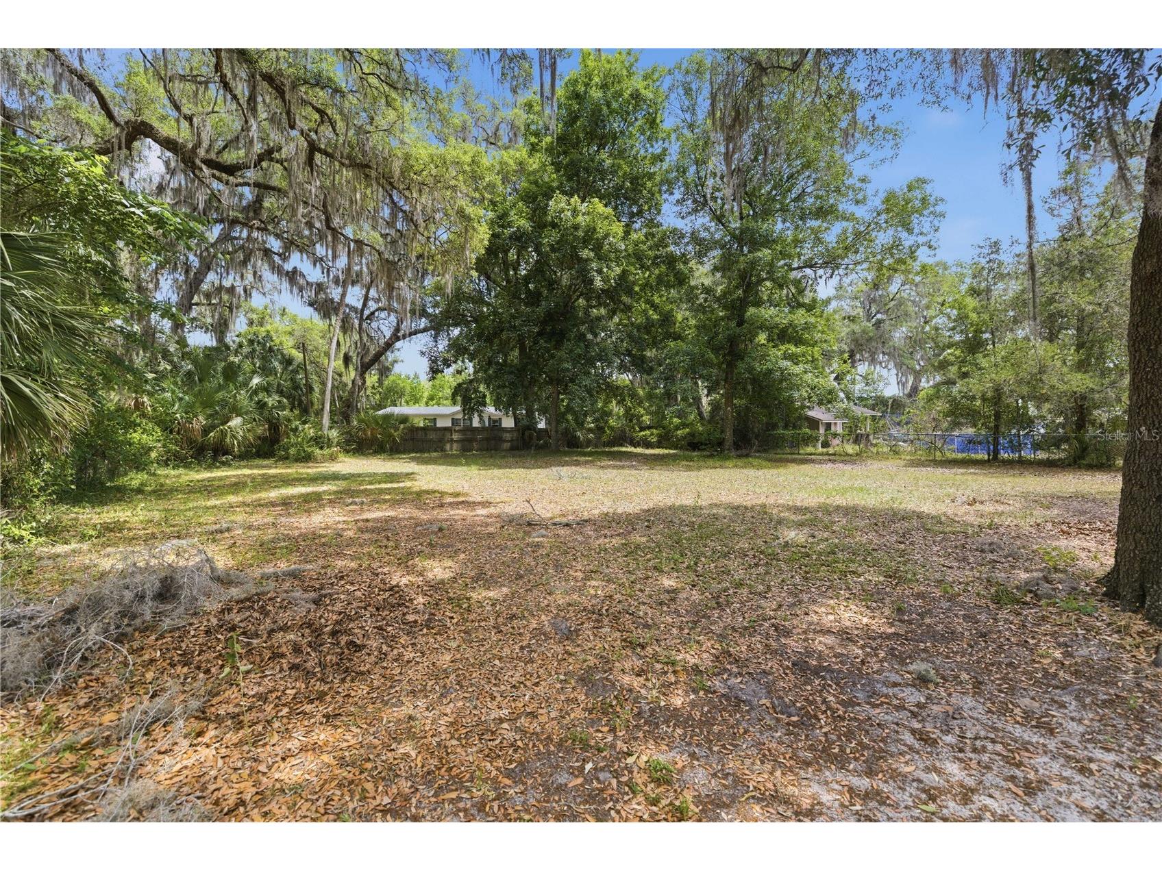 3290 NE 161st Street Citra FL 32113 OM723778 image7