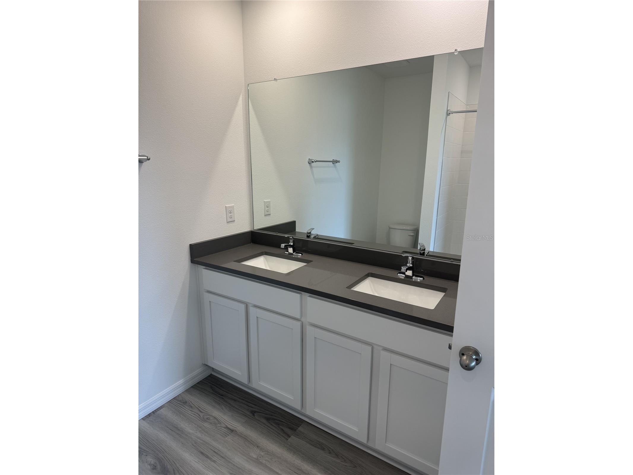 32909 Osprey Peak Way San Antonio FL 33576 TB8491729 image8