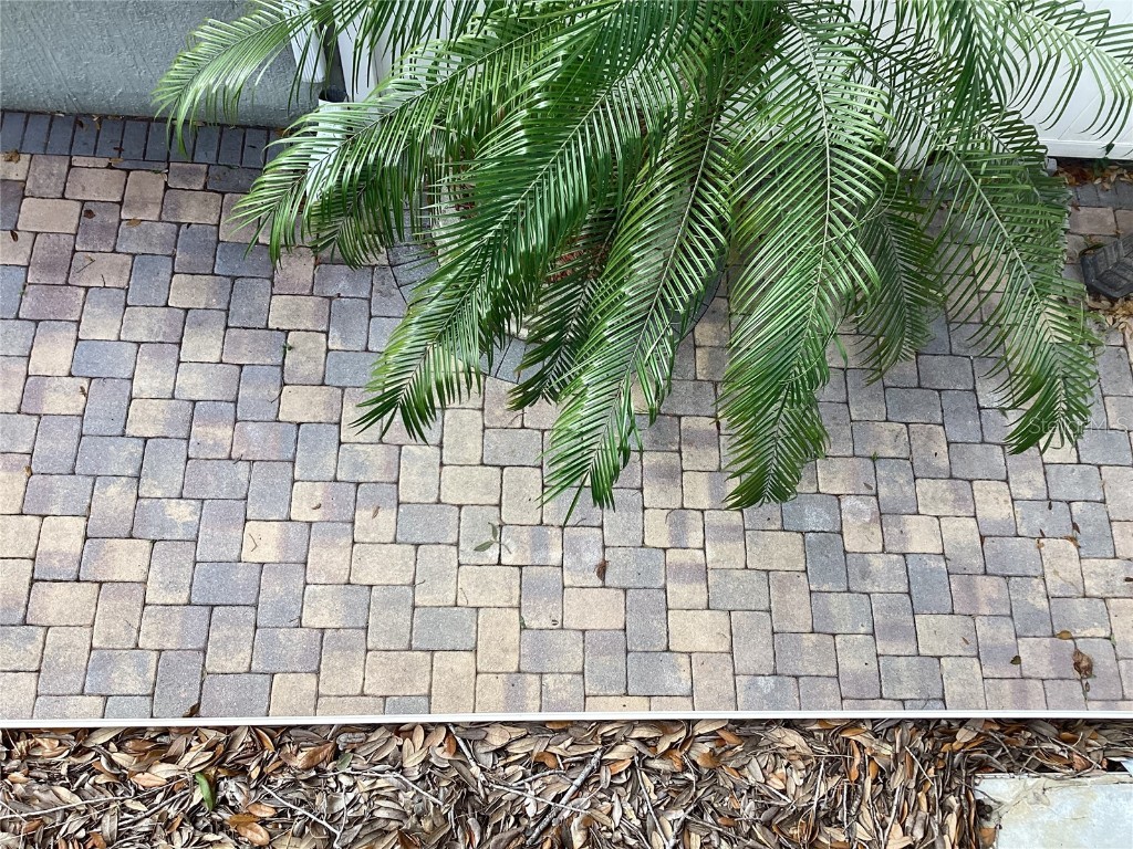 3291 Brewster Drive Kissimmee FL 34743 S5140292 image53