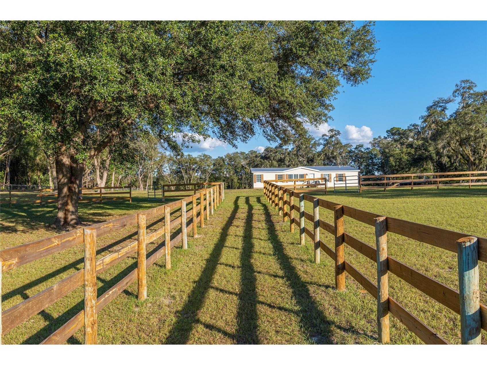 3291 SE 188th Terrace Morriston FL 32668 OM728417 image1