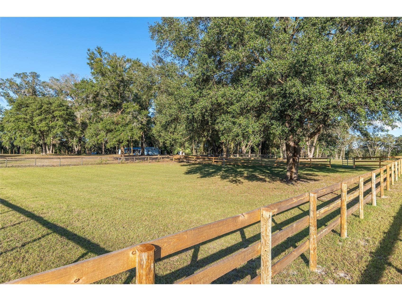 3291 SE 188th Terrace Morriston FL 32668 OM728417 image10