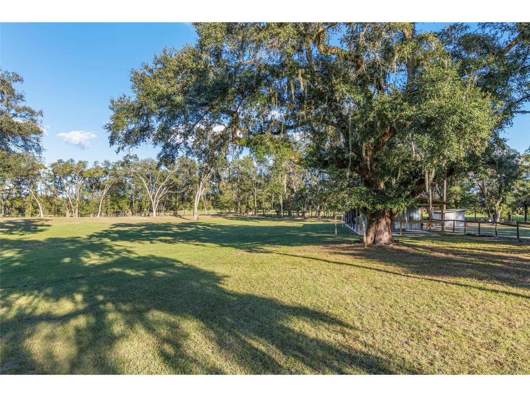 3291 SE 188th Terrace Morriston FL 32668 OM728417 image33