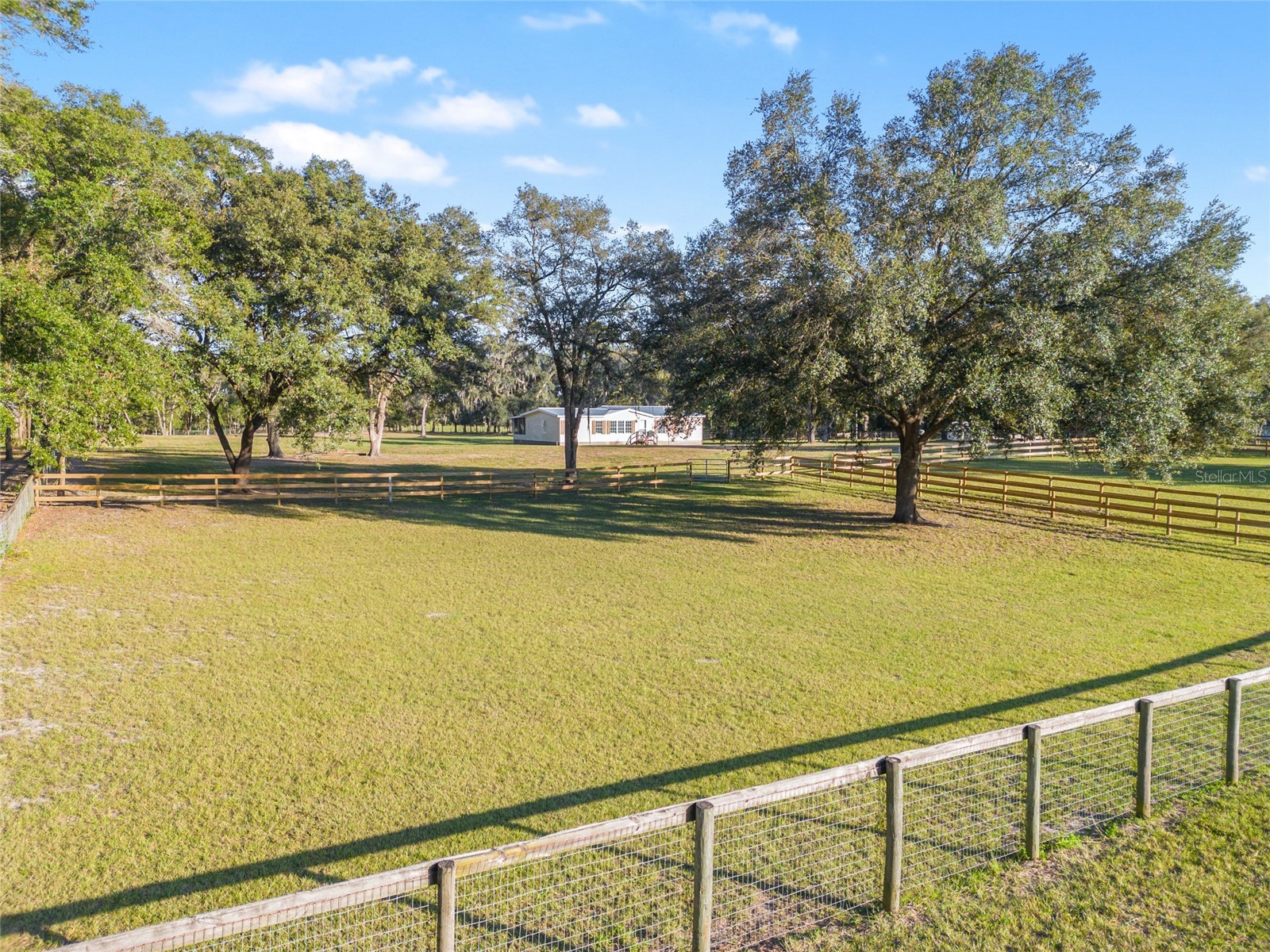 3291 SE 188th Terrace Morriston FL 32668 OM728417 image4