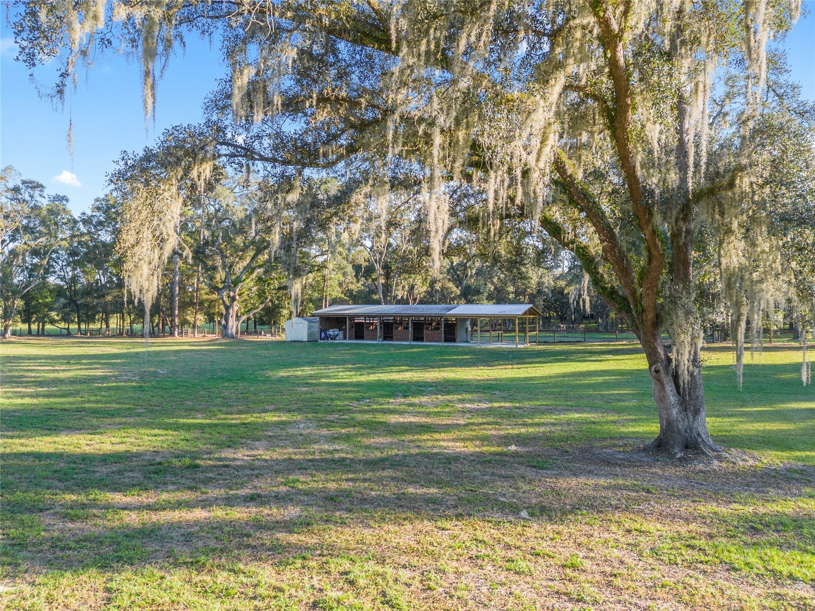 3291 SE 188th Terrace Morriston FL 32668 OM728417 image5