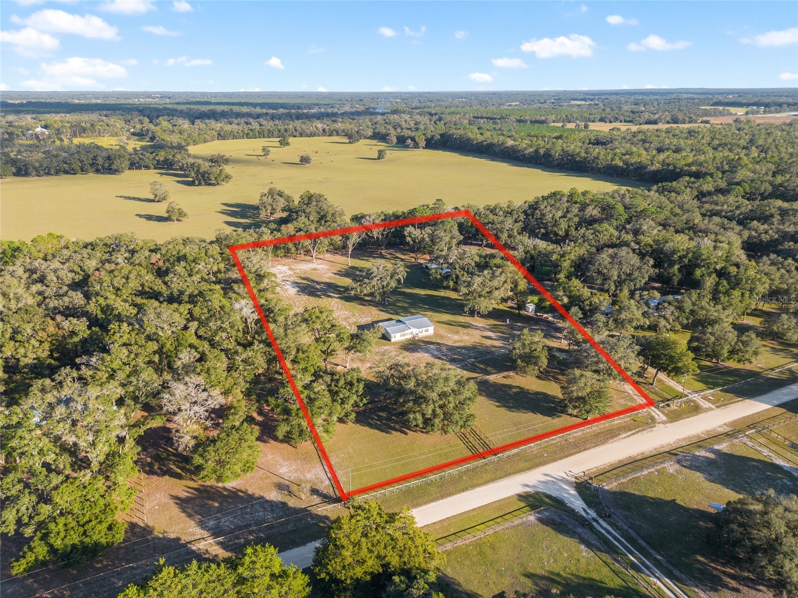 3291 SE 188th Terrace Morriston FL 32668 OM728417 image6