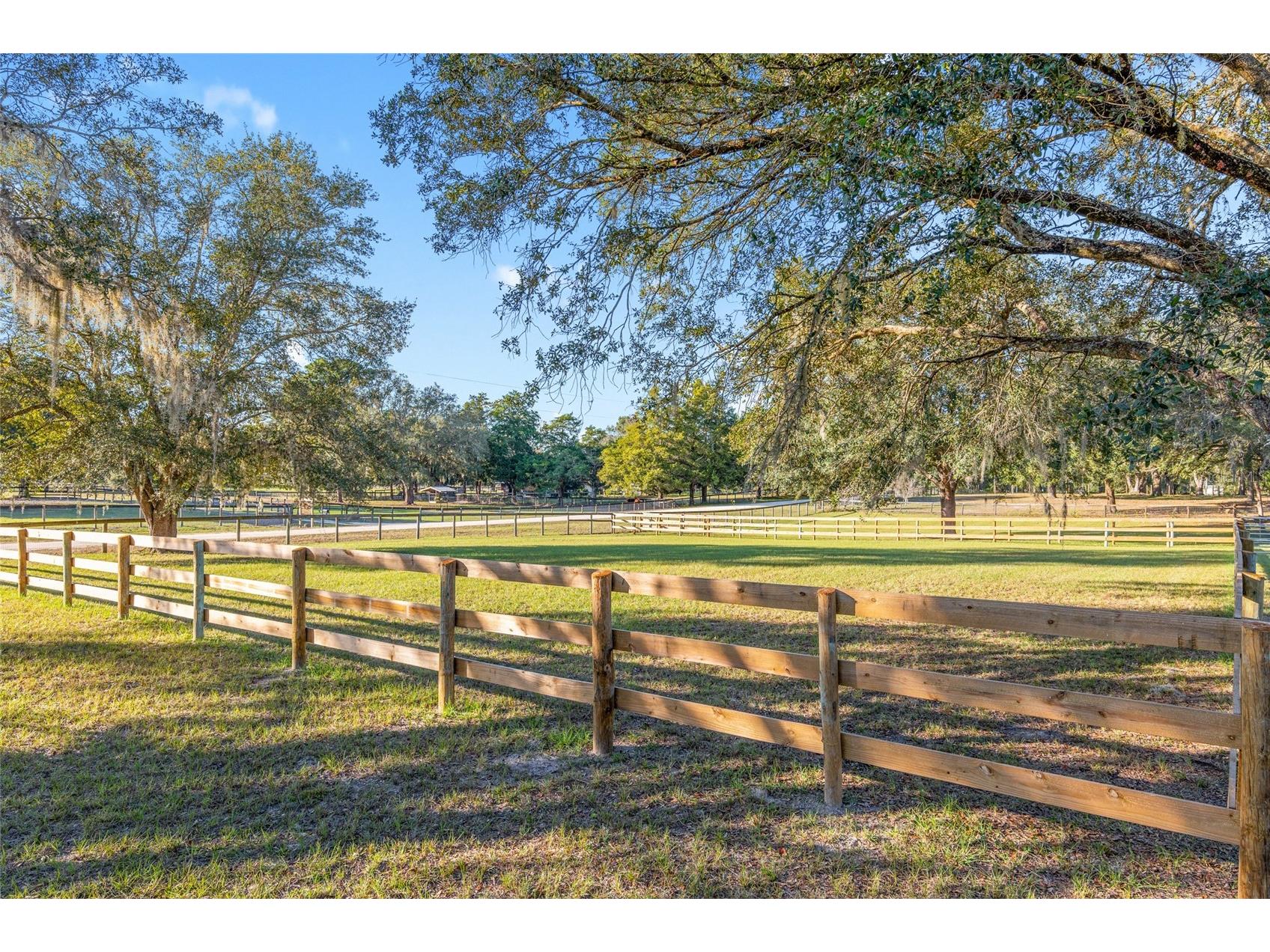 3291 SE 188th Terrace Morriston FL 32668 OM728417 image9
