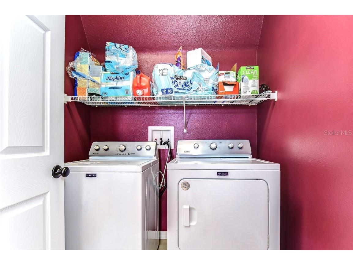 3292 Covered Bridge Drive E Dunedin FL 34698 TB8378905 image19