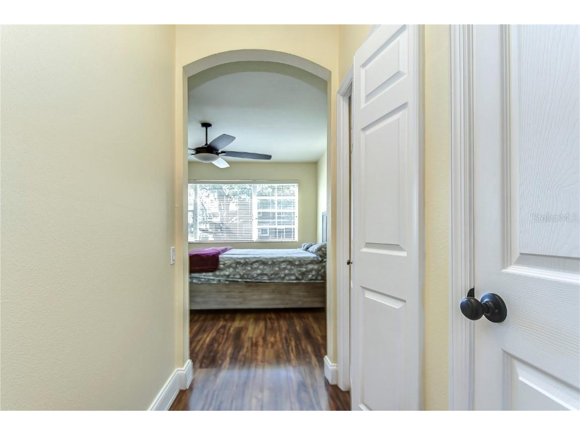 3292 Covered Bridge Drive E Dunedin FL 34698 TB8378905 image29