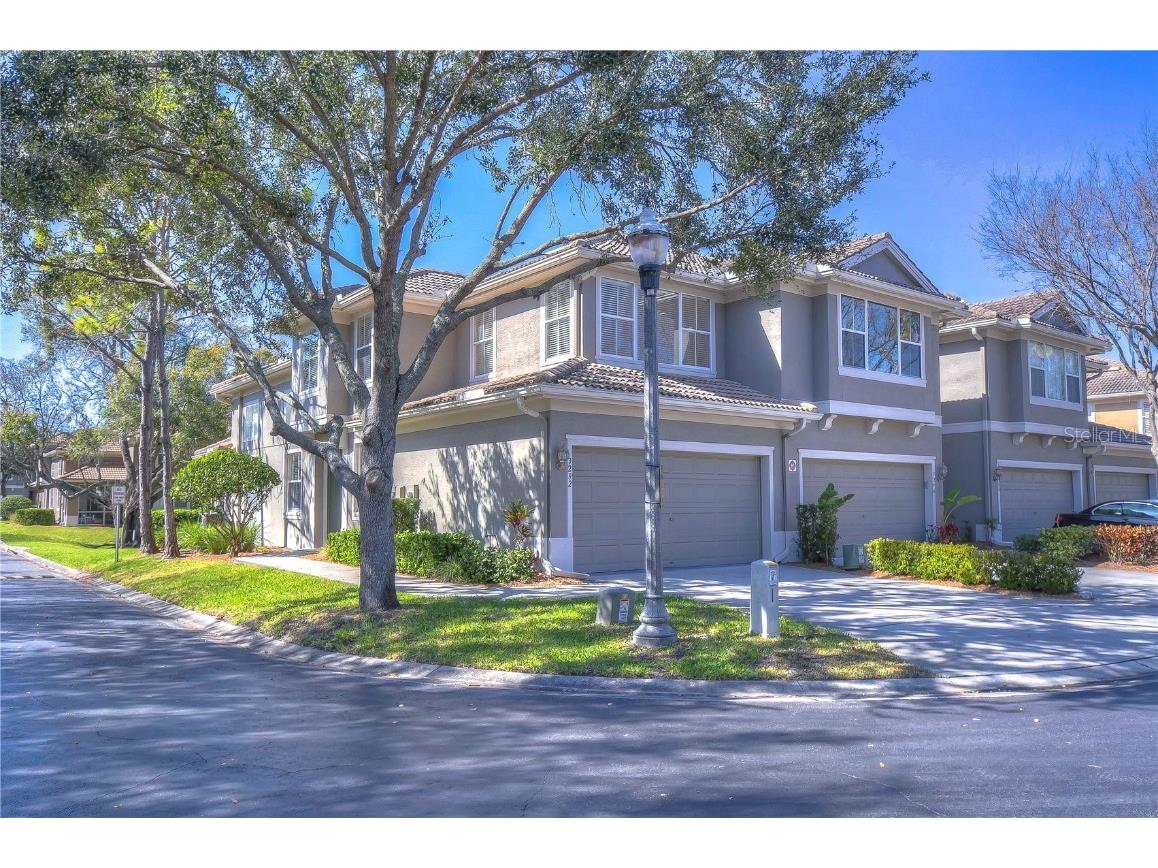 3292 Covered Bridge Drive E Dunedin FL 34698 TB8378905 image3