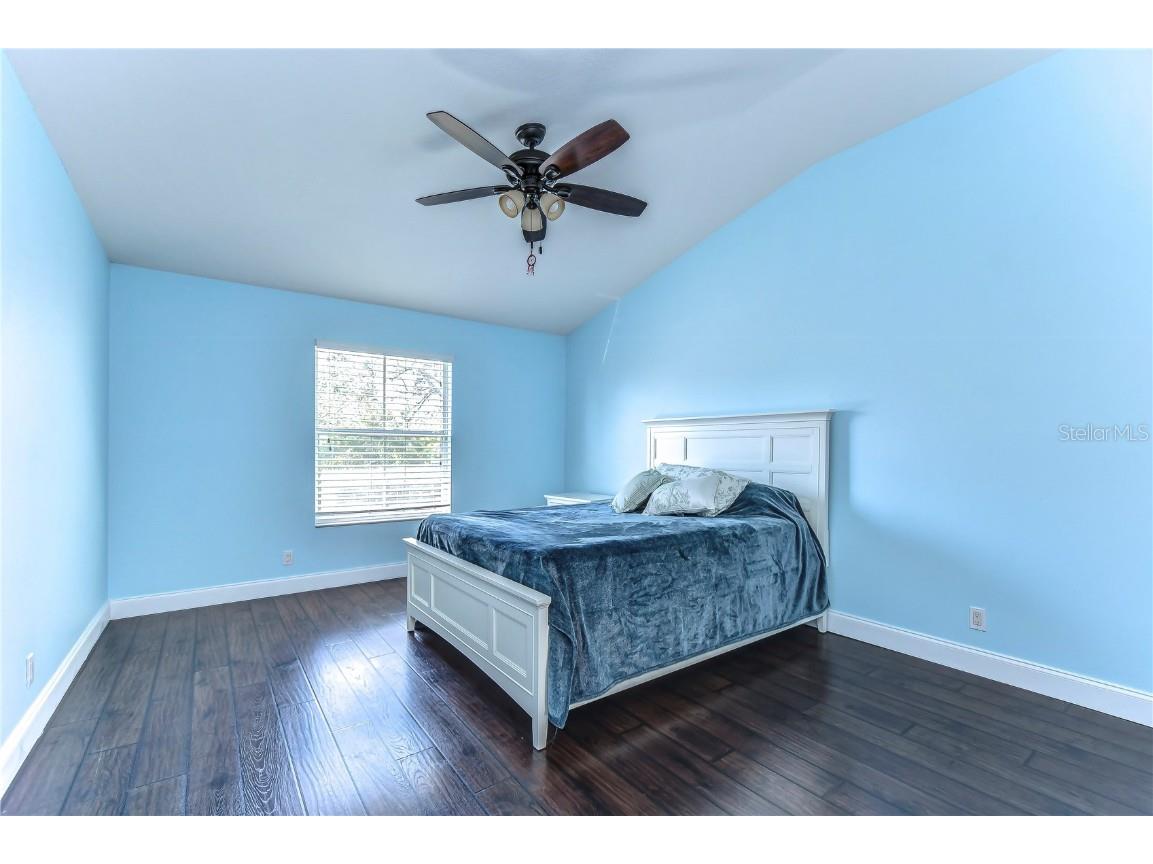 3292 Covered Bridge Drive E Dunedin FL 34698 TB8378905 image36