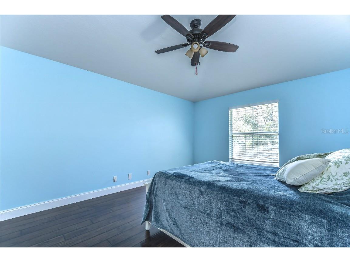 3292 Covered Bridge Drive E Dunedin FL 34698 TB8378905 image37