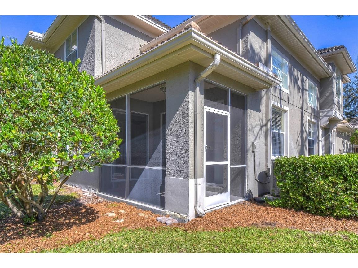 3292 Covered Bridge Drive E Dunedin FL 34698 TB8378905 image42