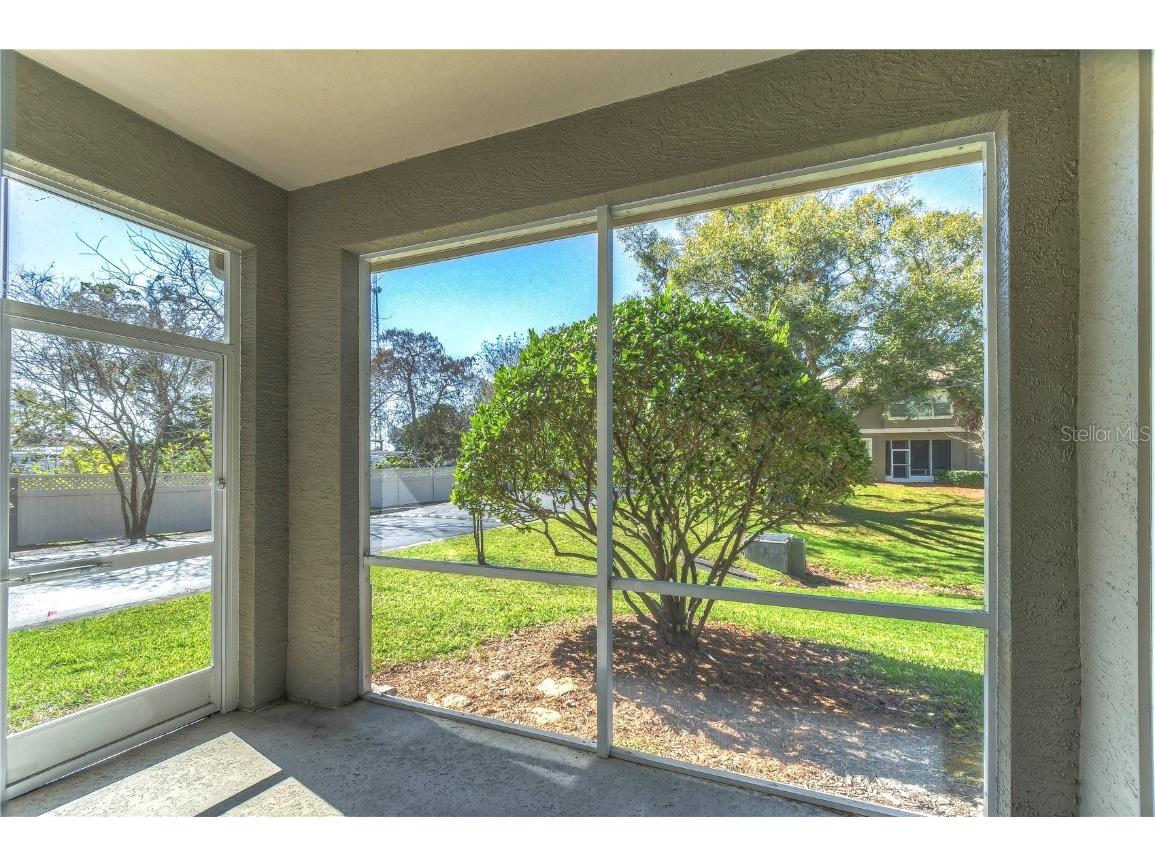 3292 Covered Bridge Drive E Dunedin FL 34698 TB8378905 image43