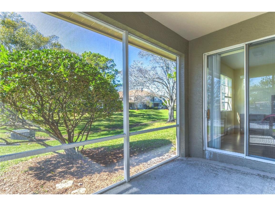 3292 Covered Bridge Drive E Dunedin FL 34698 TB8378905 image44