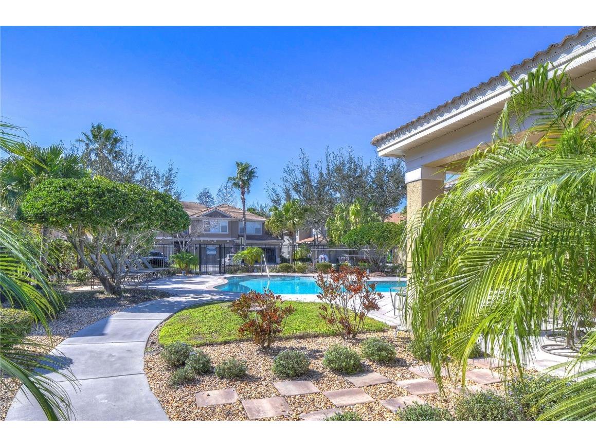 3292 Covered Bridge Drive E Dunedin FL 34698 TB8378905 image49