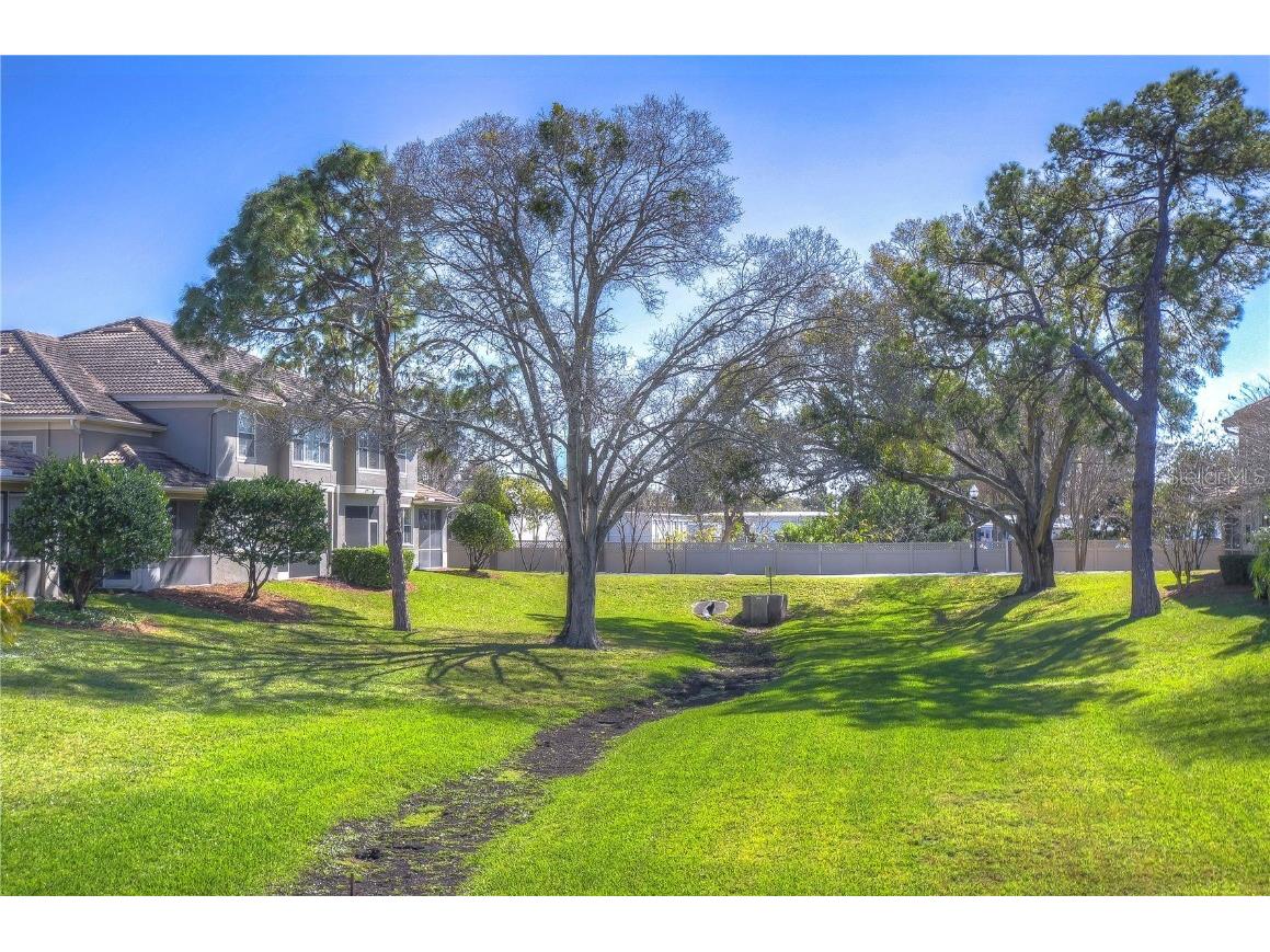 3292 Covered Bridge Drive E Dunedin FL 34698 TB8378905 image51