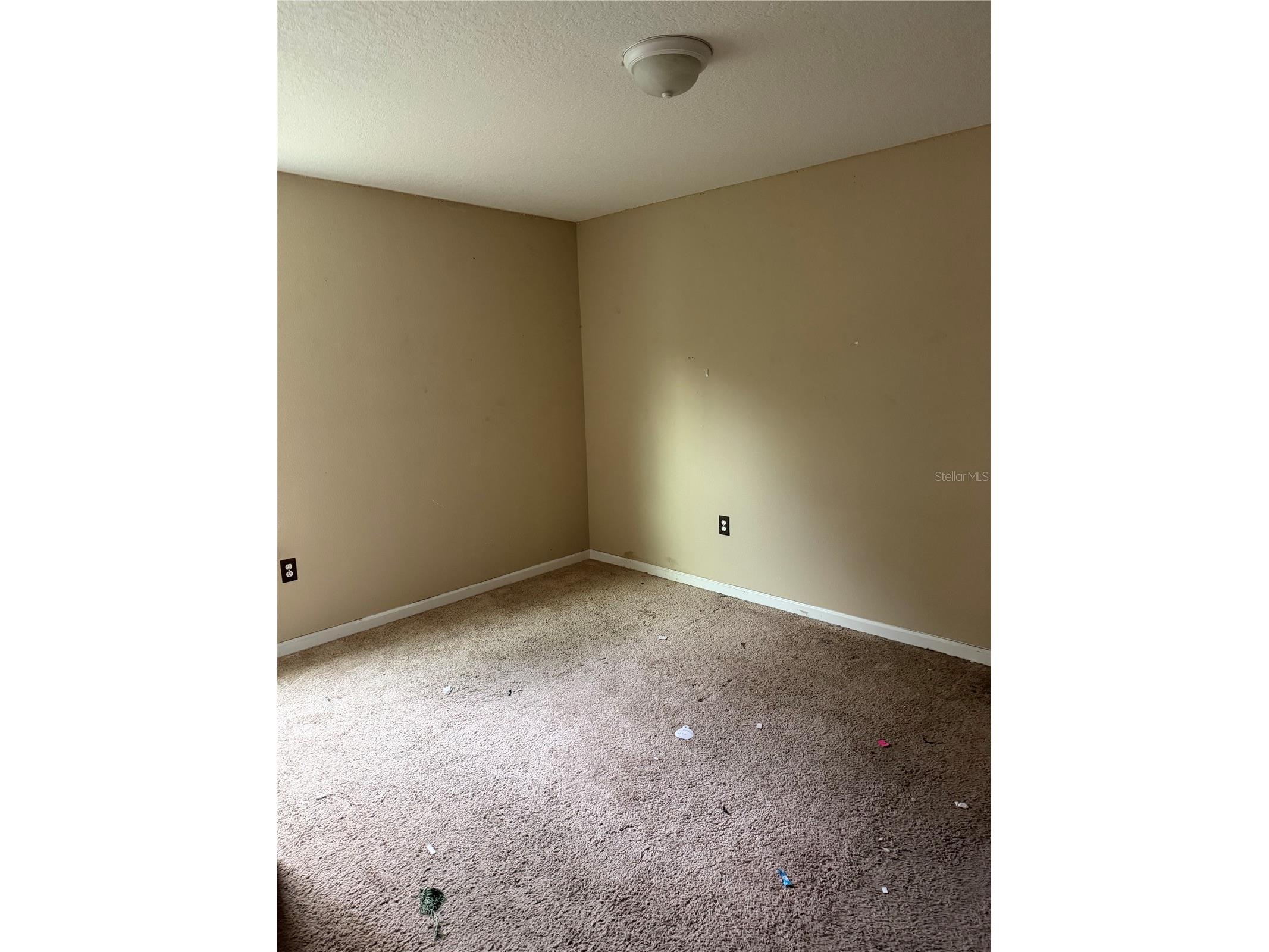 3292 Hidden Meadows Court Green Cove Springs FL 32043 TB8467076 image13