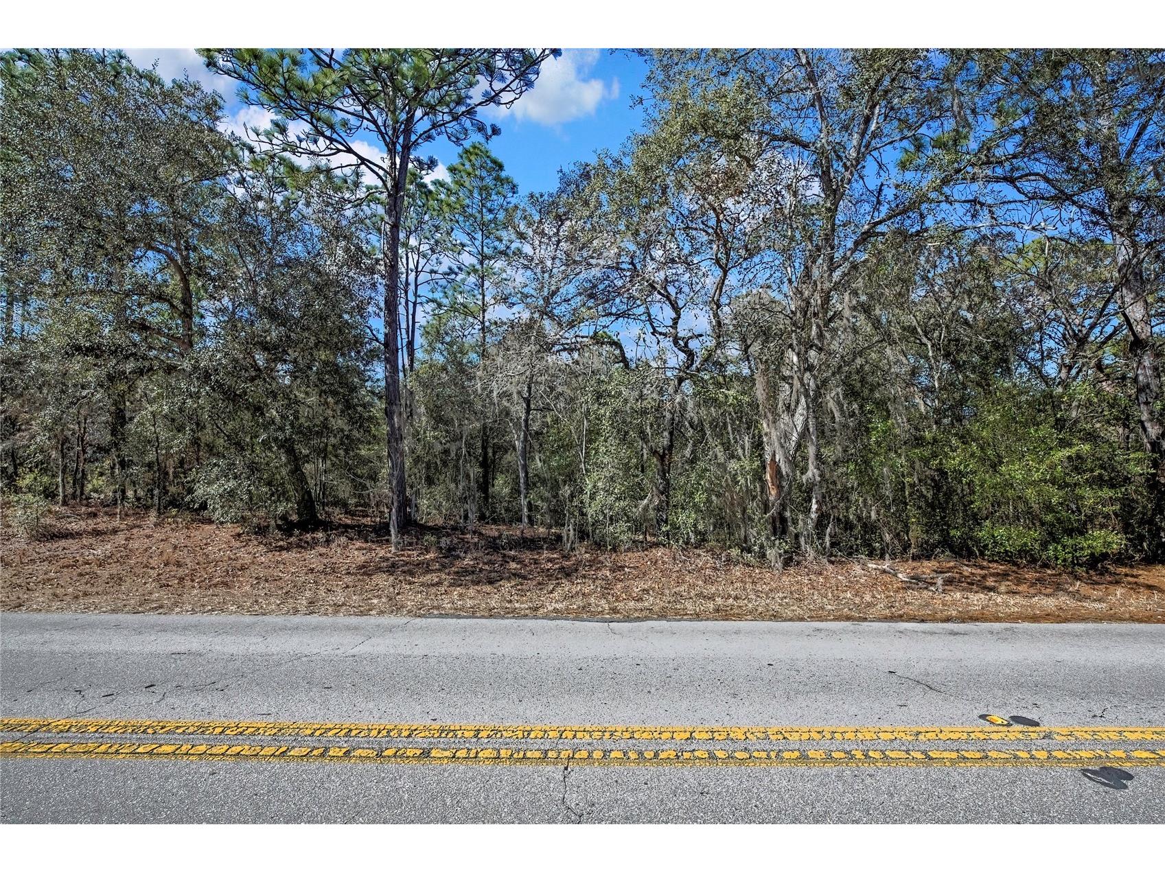 3292 N Annapolis Avenue Hernando FL 34442 TB8473271 image1