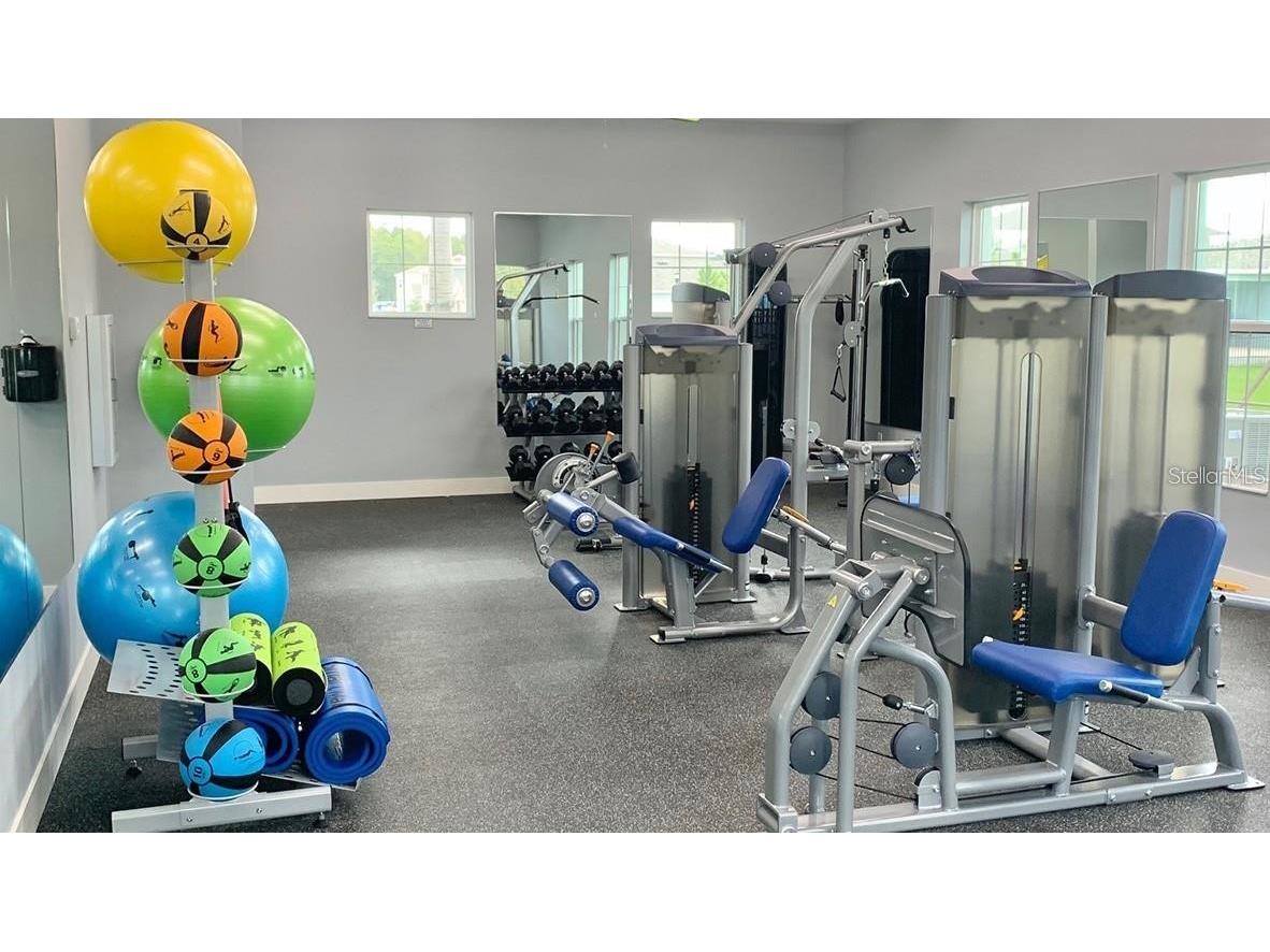 32920 Pez Landing Lane Wesley Chapel FL 33543 TB8474935 image18