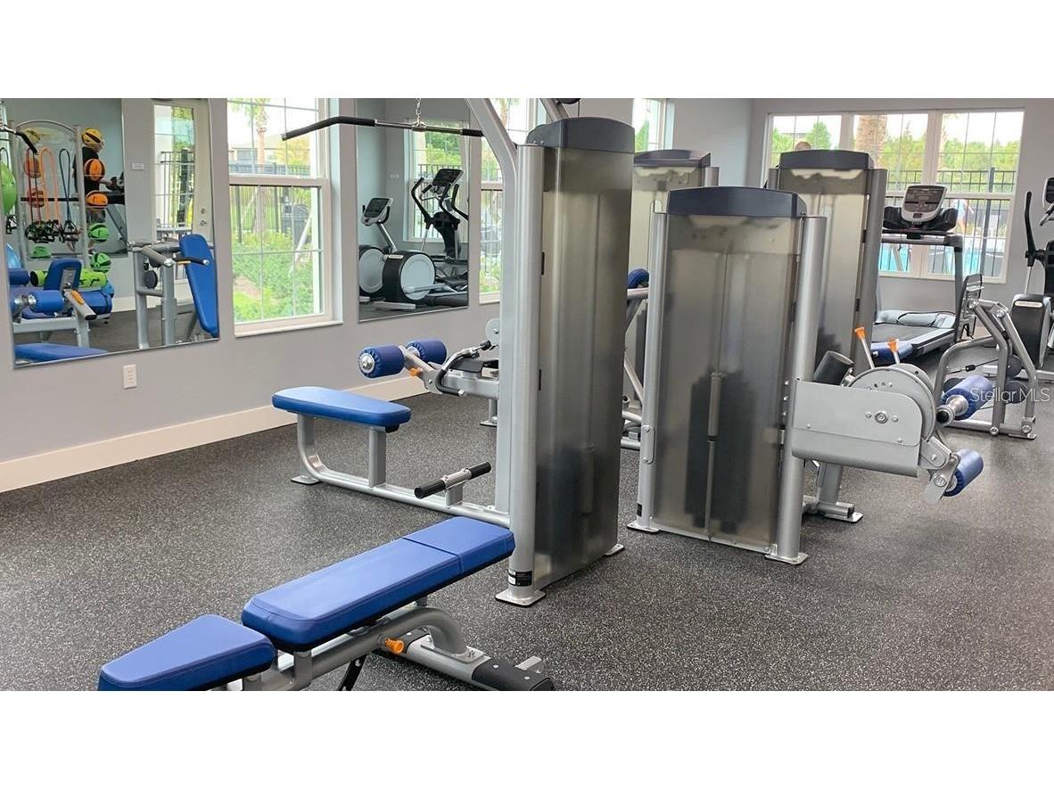 32920 Pez Landing Lane Wesley Chapel FL 33543 TB8474935 image19