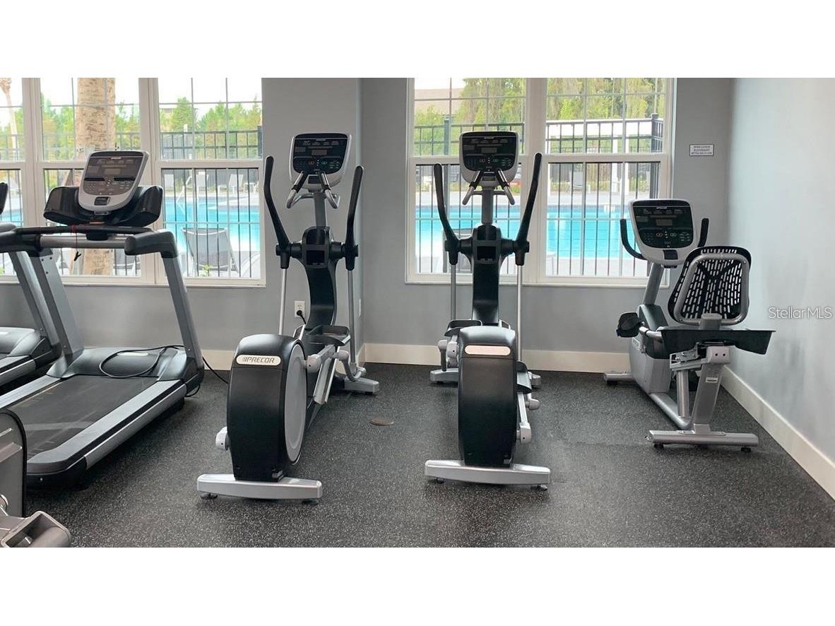 32920 Pez Landing Lane Wesley Chapel FL 33543 TB8474935 image20