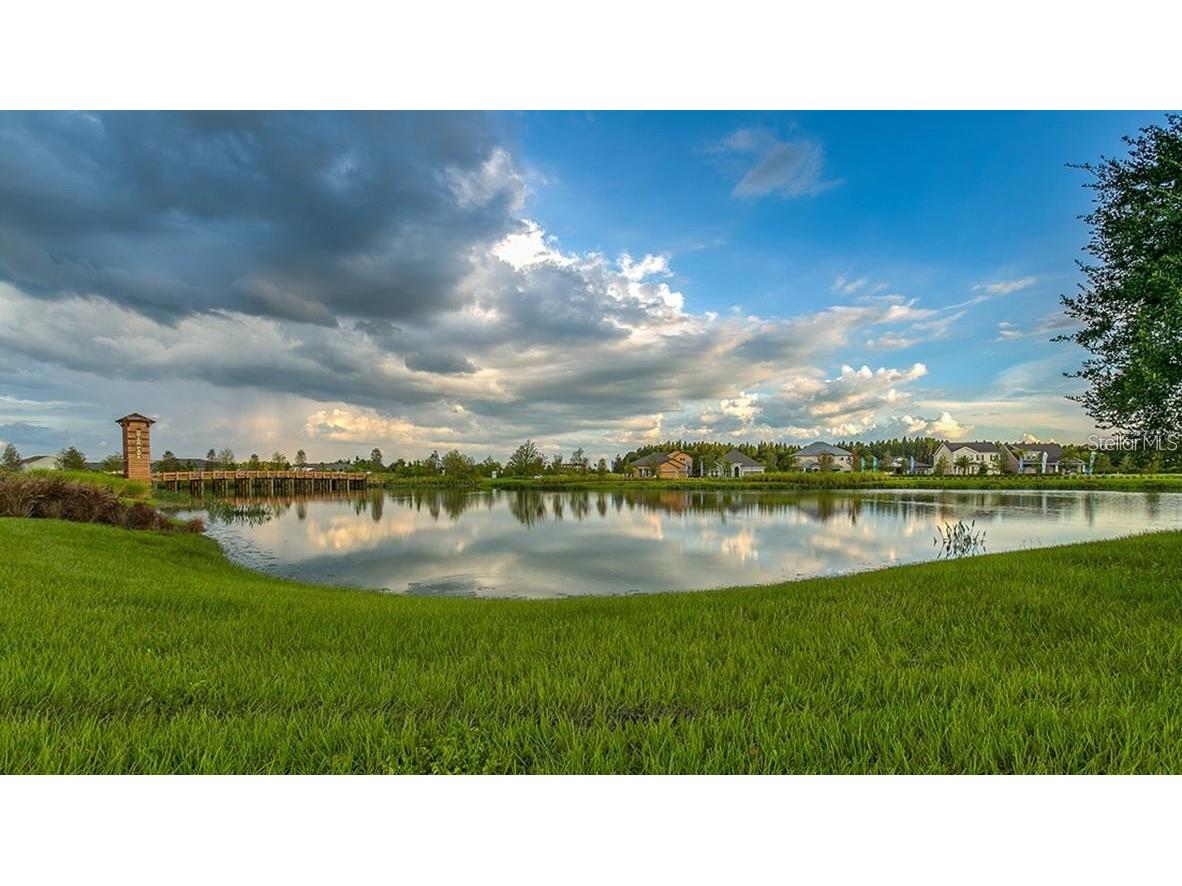 32920 Pez Landing Lane Wesley Chapel FL 33543 TB8474935 image22