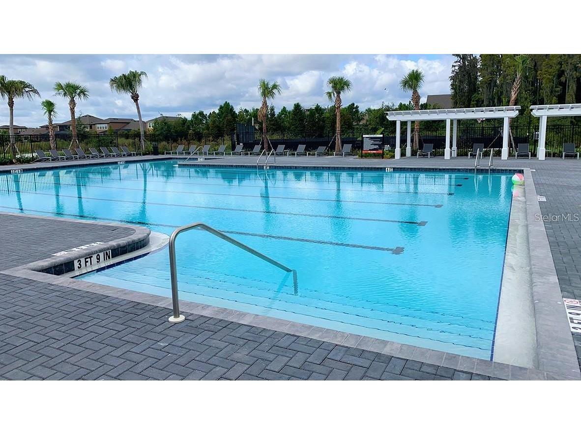 32920 Pez Landing Lane Wesley Chapel FL 33543 TB8474935 image23