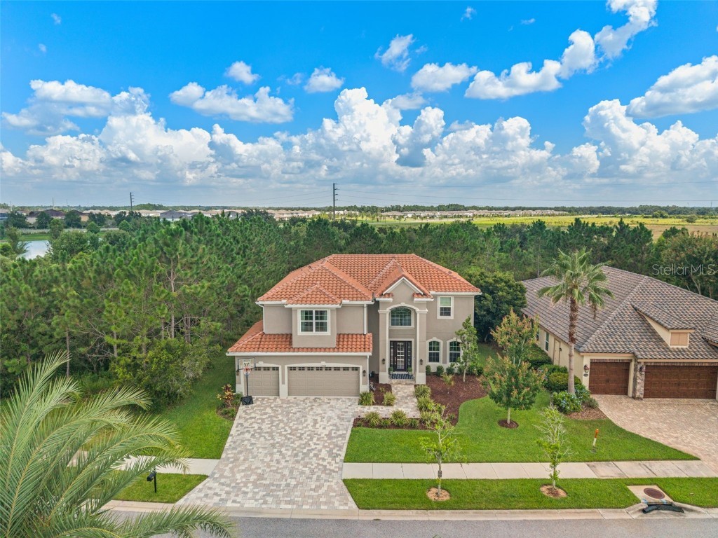 32924 Estate Garden Drive Wesley Chapel FL 33545 TB8413308 image1