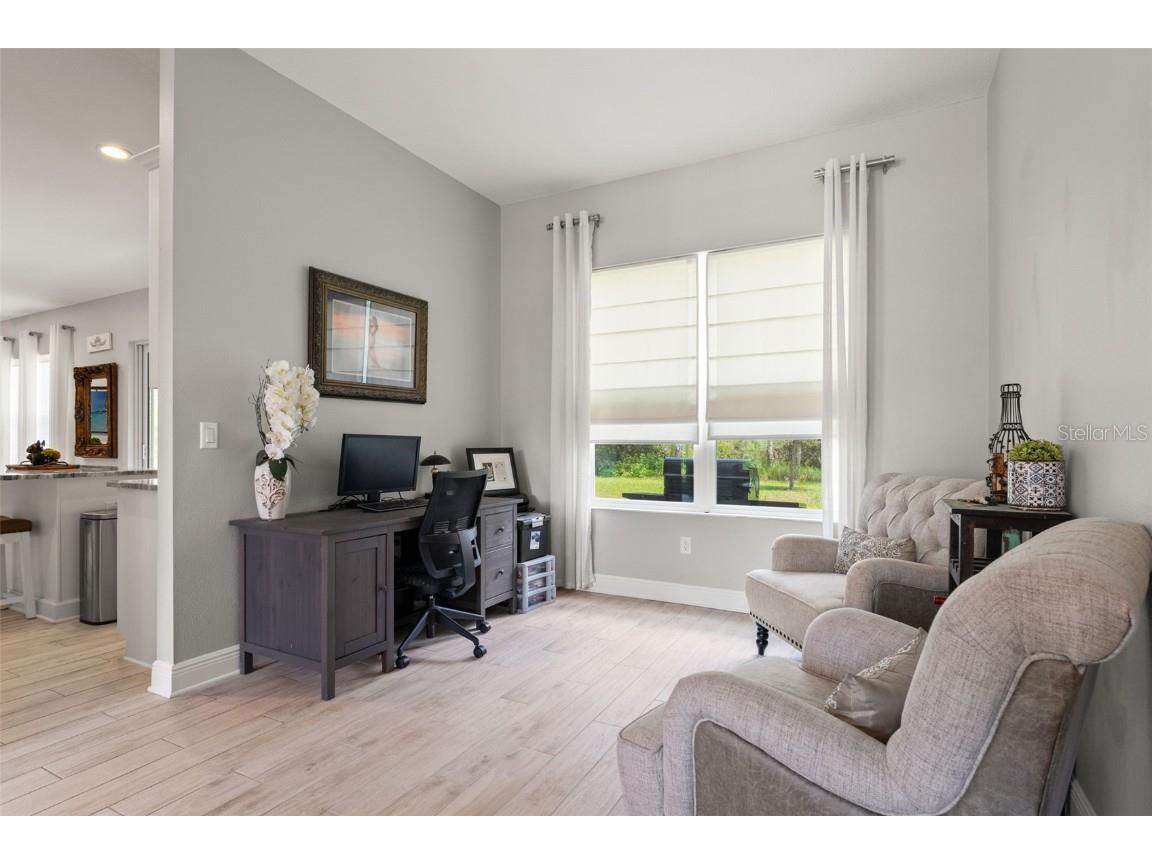 32924 Estate Garden Drive Wesley Chapel FL 33545 TB8413308 image18