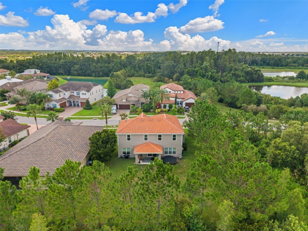 32924 Estate Garden Drive Wesley Chapel FL 33545 TB8413308 image2