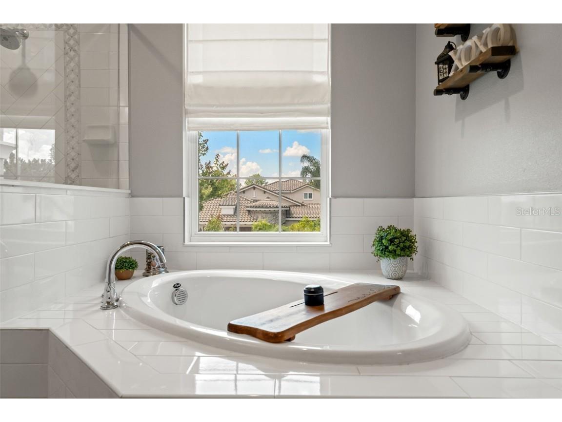 32924 Estate Garden Drive Wesley Chapel FL 33545 TB8413308 image23