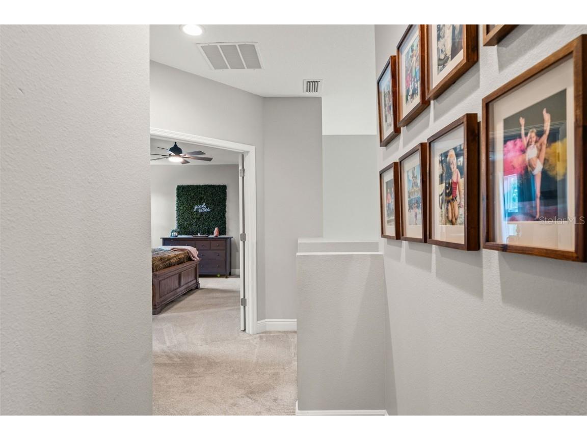 32924 Estate Garden Drive Wesley Chapel FL 33545 TB8413308 image24