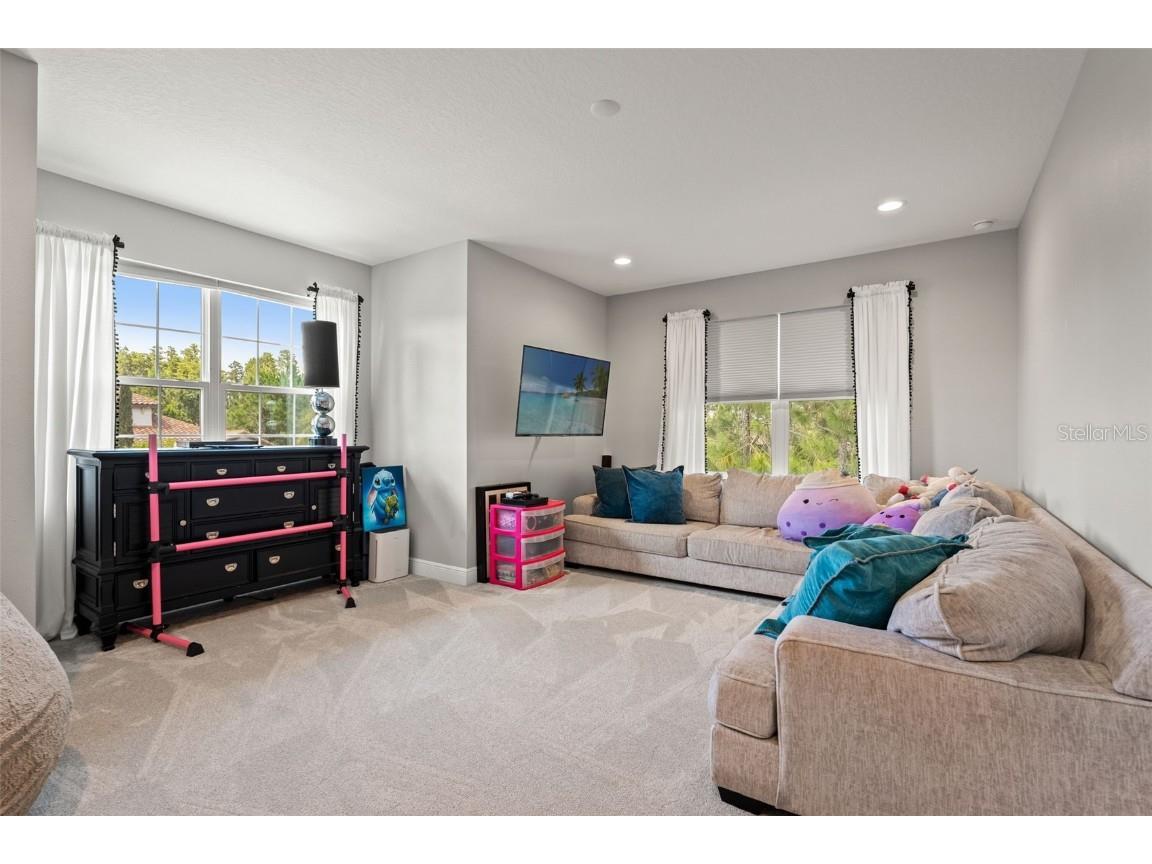 32924 Estate Garden Drive Wesley Chapel FL 33545 TB8413308 image26