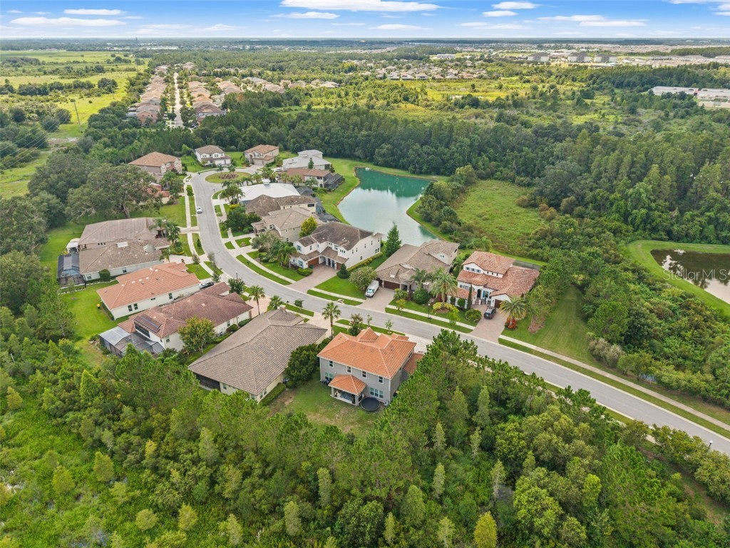 32924 Estate Garden Drive Wesley Chapel FL 33545 TB8413308 image3