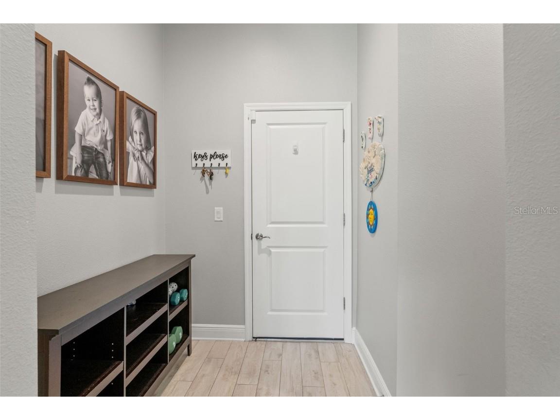 32924 Estate Garden Drive Wesley Chapel FL 33545 TB8413308 image36