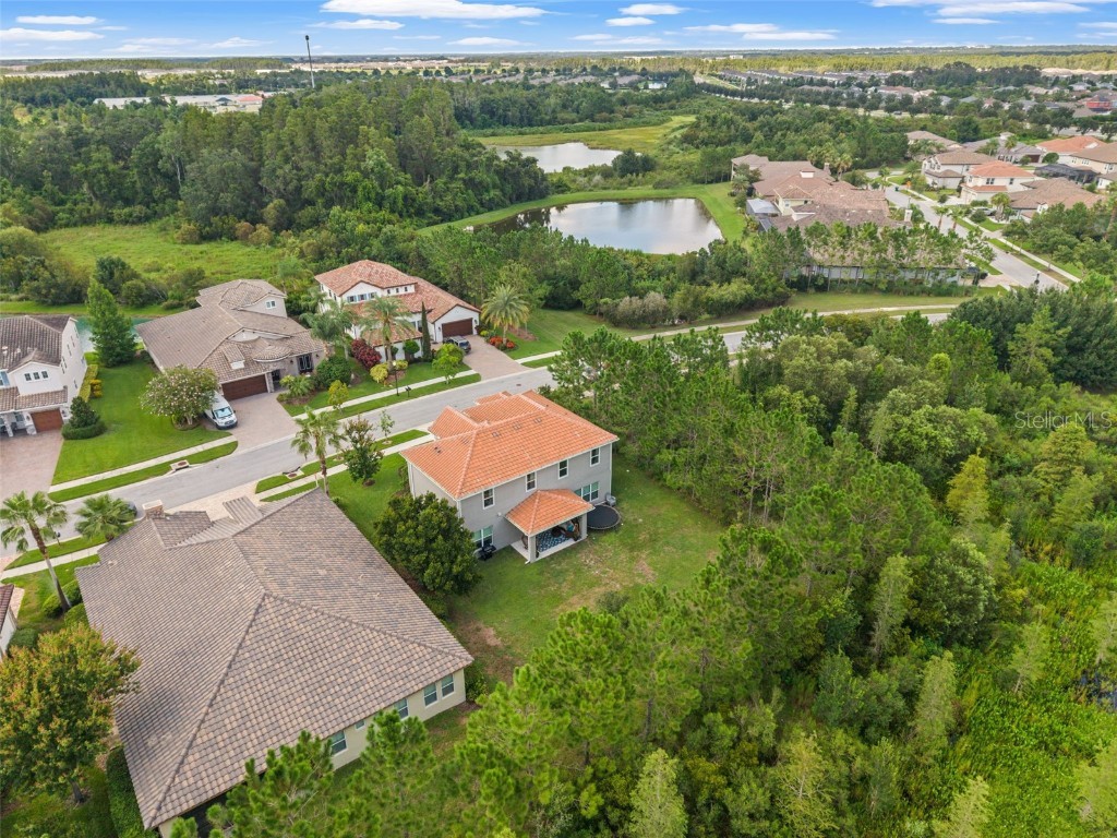 32924 Estate Garden Drive Wesley Chapel FL 33545 TB8413308 image4