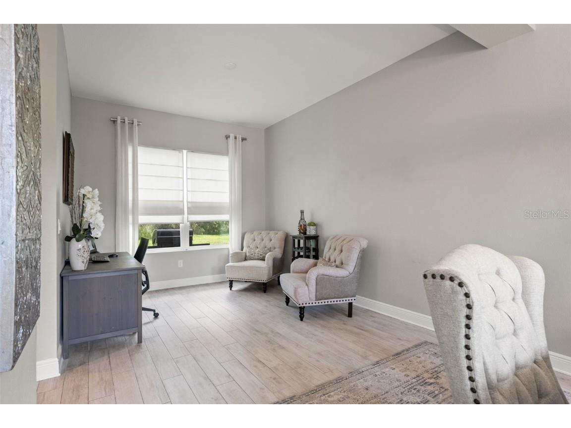 32924 Estate Garden Drive Wesley Chapel FL 33545 TB8413308 image43