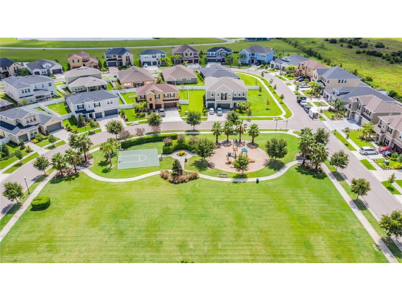 32924 Estate Garden Drive Wesley Chapel FL 33545 TB8413308 image45