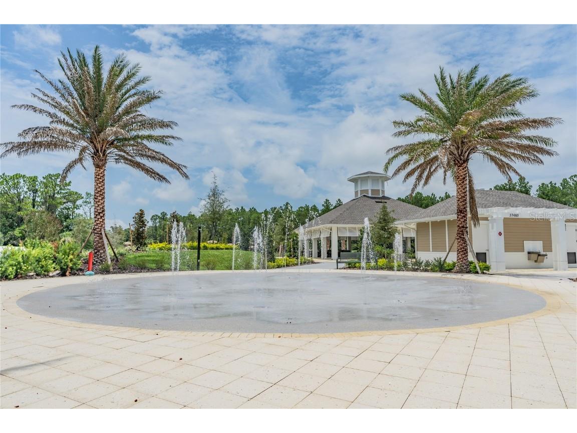 32924 Estate Garden Drive Wesley Chapel FL 33545 TB8413308 image56