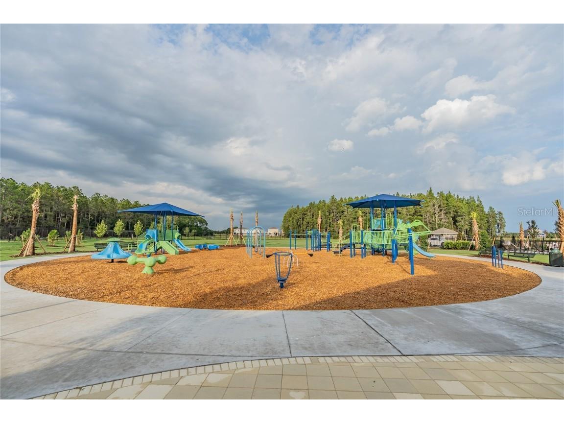 32924 Estate Garden Drive Wesley Chapel FL 33545 TB8413308 image62