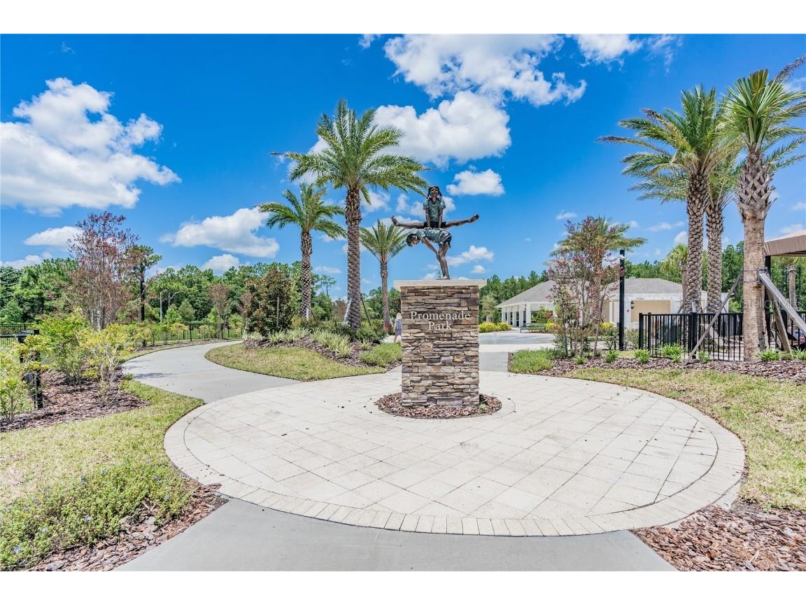 32924 Estate Garden Drive Wesley Chapel FL 33545 TB8413308 image65