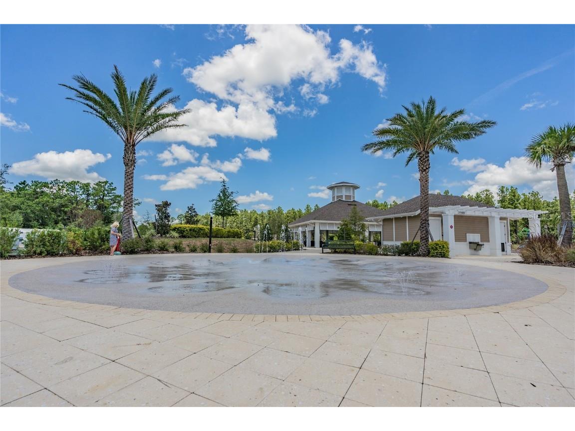 32924 Estate Garden Drive Wesley Chapel FL 33545 TB8413308 image66