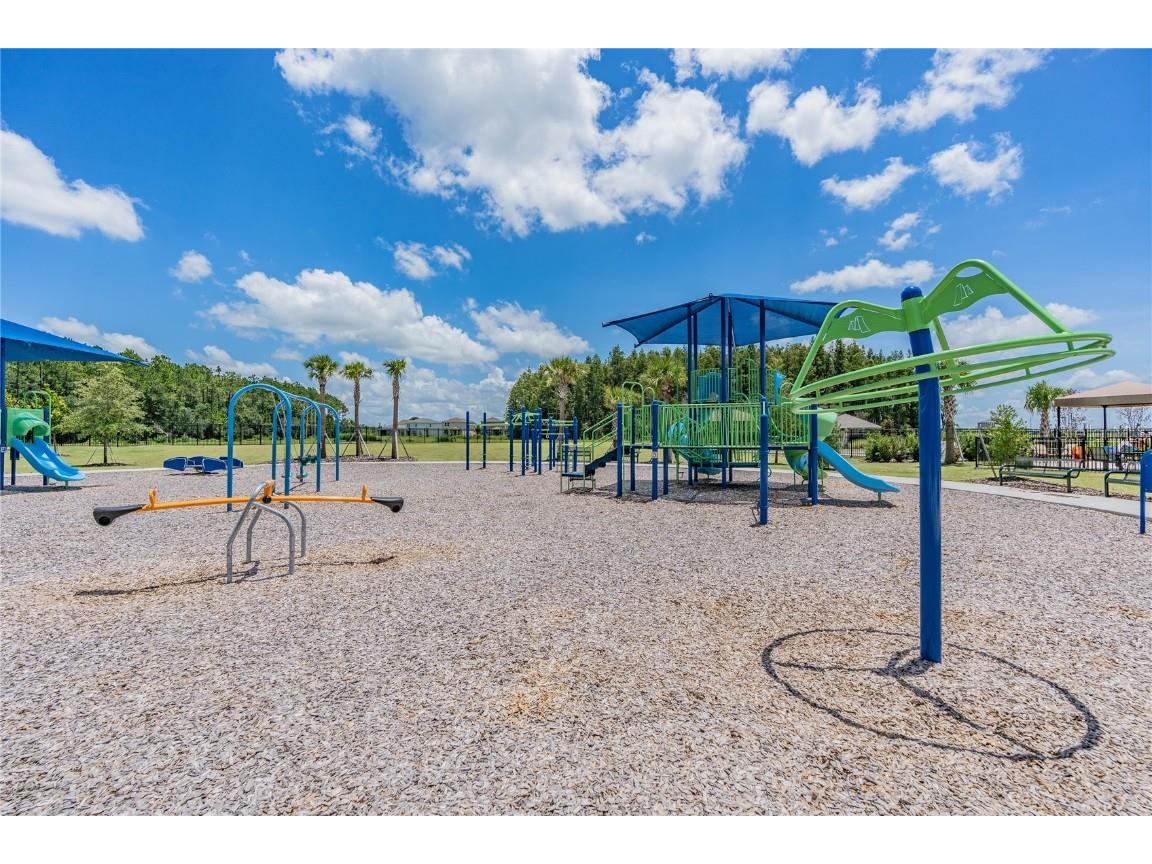 32924 Estate Garden Drive Wesley Chapel FL 33545 TB8413308 image67