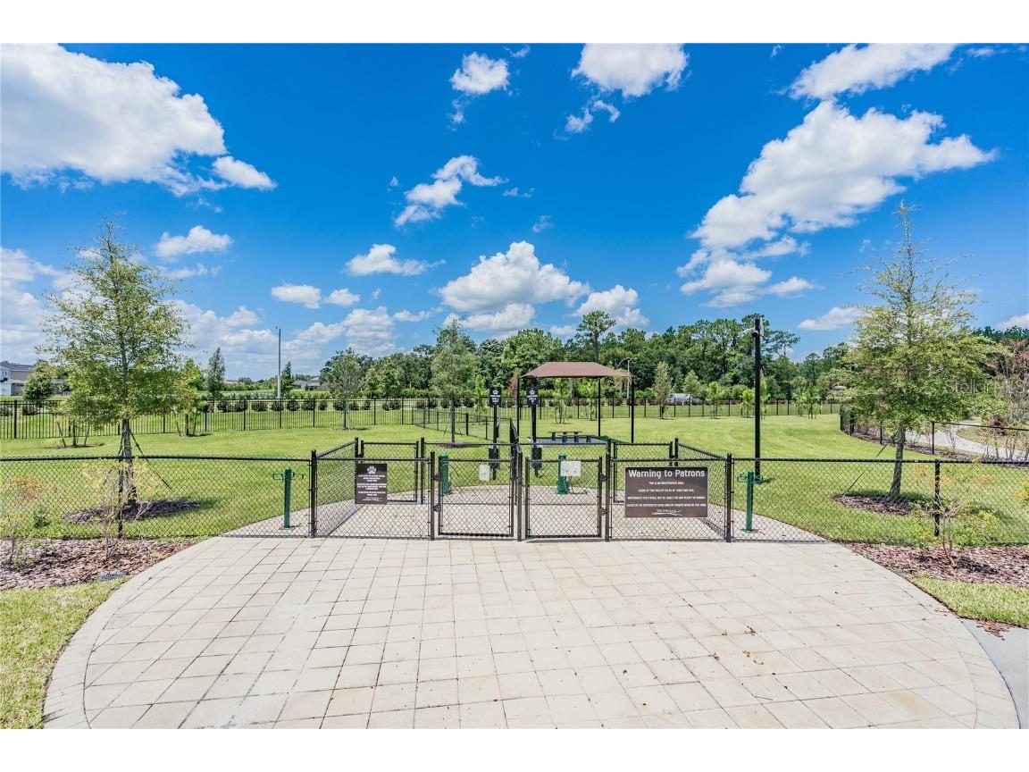 32924 Estate Garden Drive Wesley Chapel FL 33545 TB8413308 image70