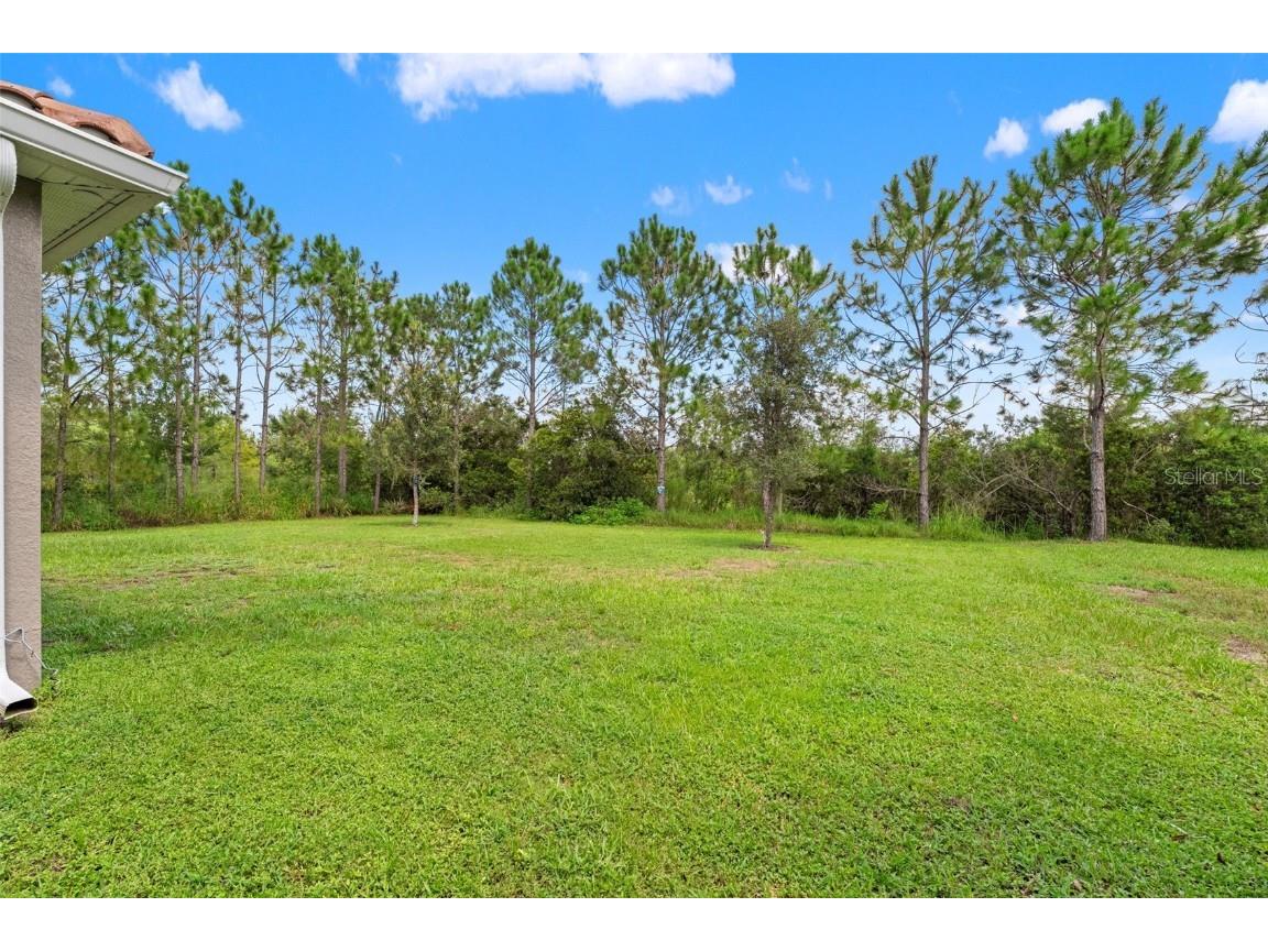 32924 Estate Garden Drive Wesley Chapel FL 33545 TB8413308 image8