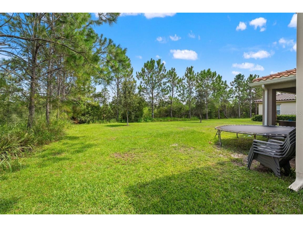 32924 Estate Garden Drive Wesley Chapel FL 33545 TB8413308 image9