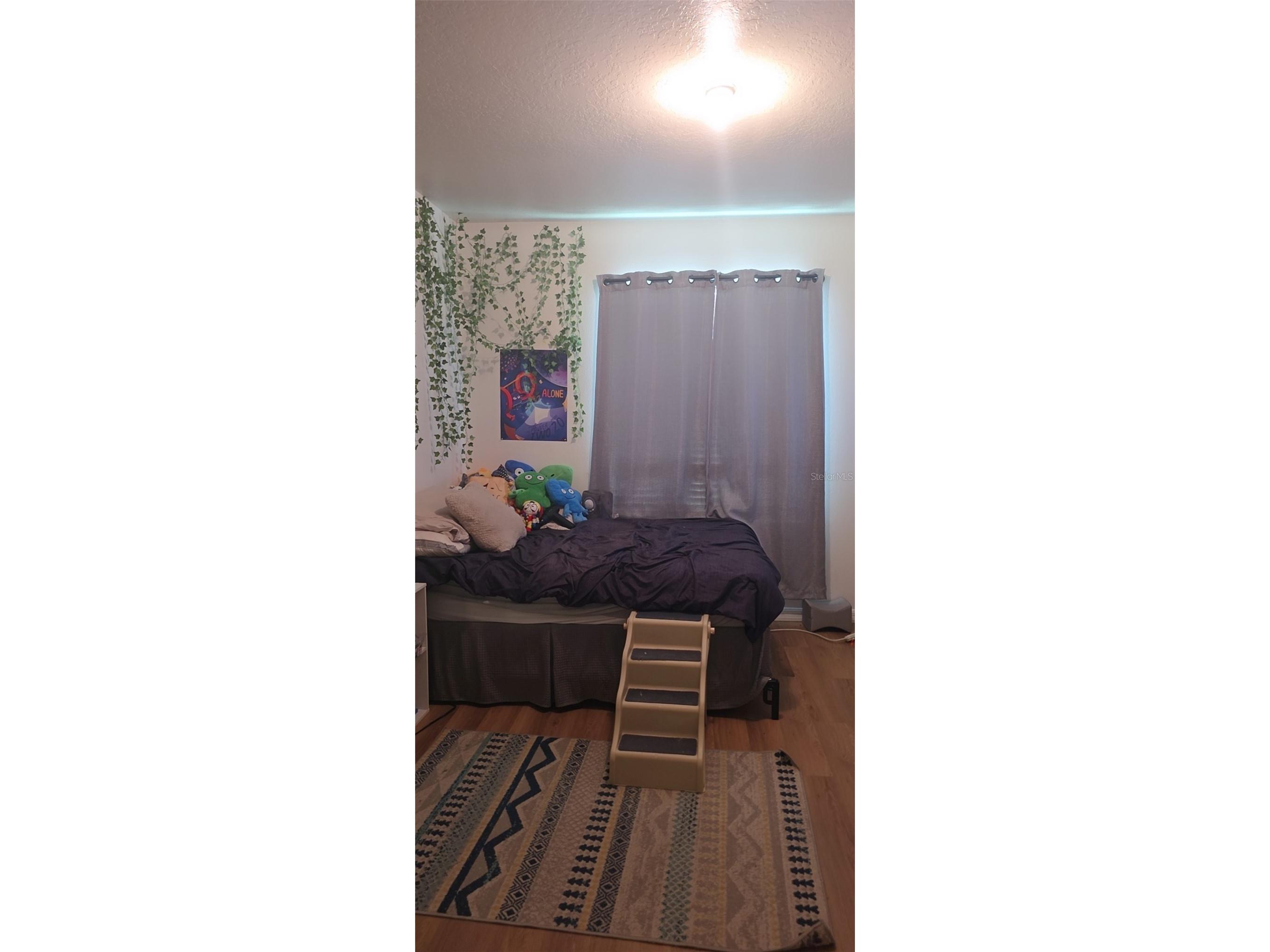 32926 Kaloko Road Wesley Chapel FL 33543 TB8505389 image11