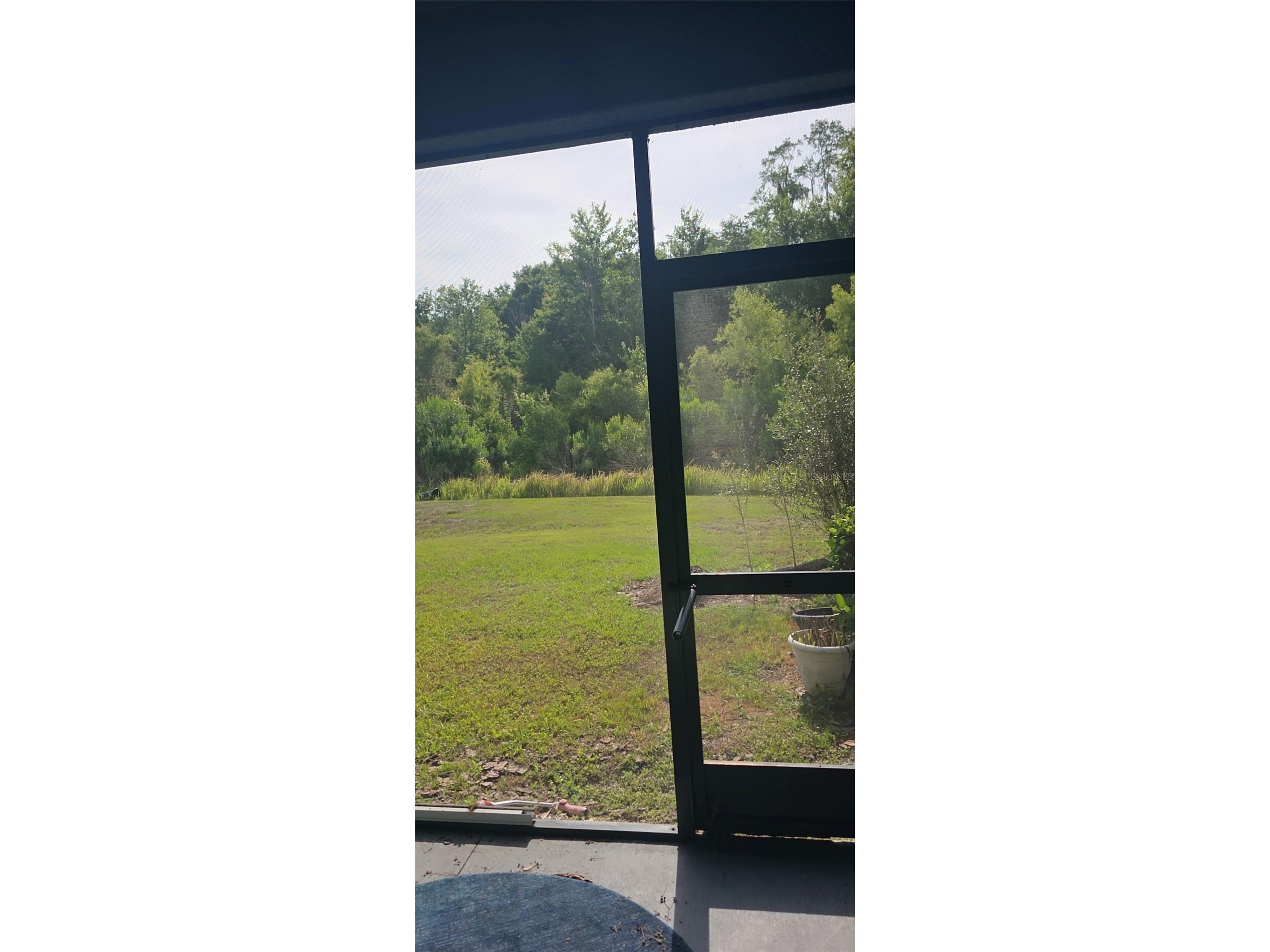 32926 Kaloko Road Wesley Chapel FL 33543 TB8505389 image4