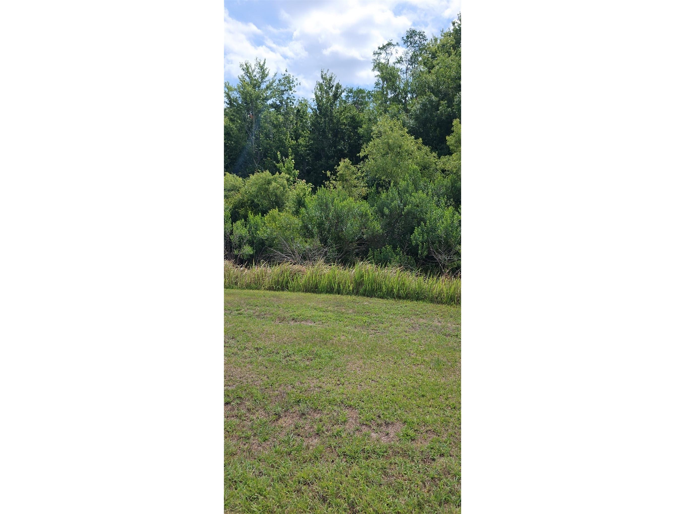 32926 Kaloko Road Wesley Chapel FL 33543 TB8505389 image5