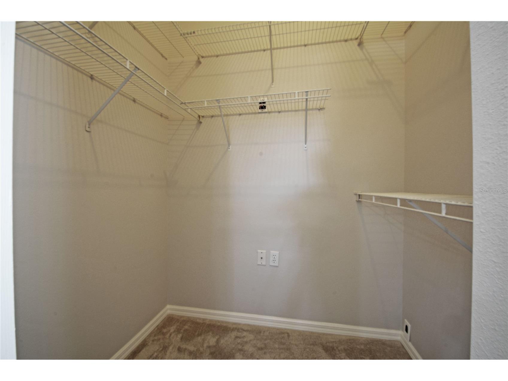 3293 Mallard Drive Safety Harbor FL 34695 TB8509938 image24